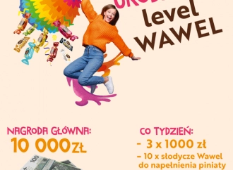 "Urodziny level Wawel" - weź udział w konkursie i przygotuj własną piniatę!